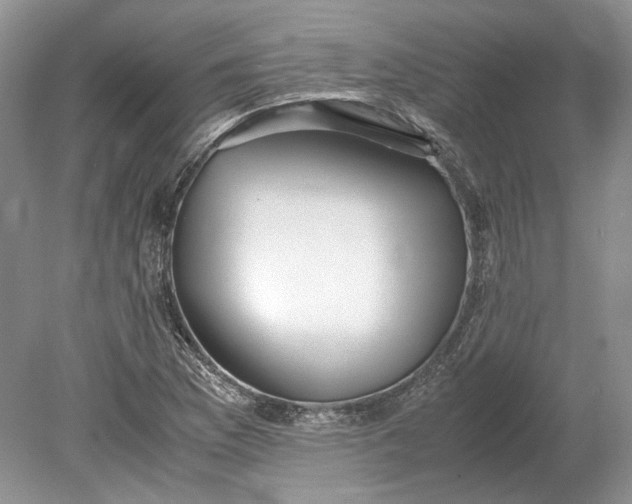 X0000078881169200611271319