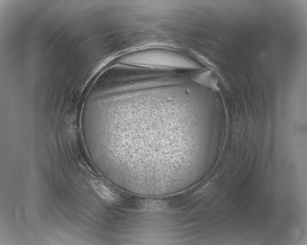X0000078881170200611271319