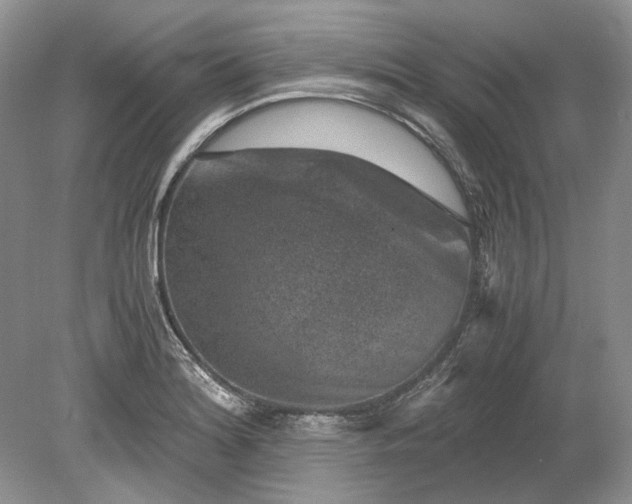 X0000078881180200611271319