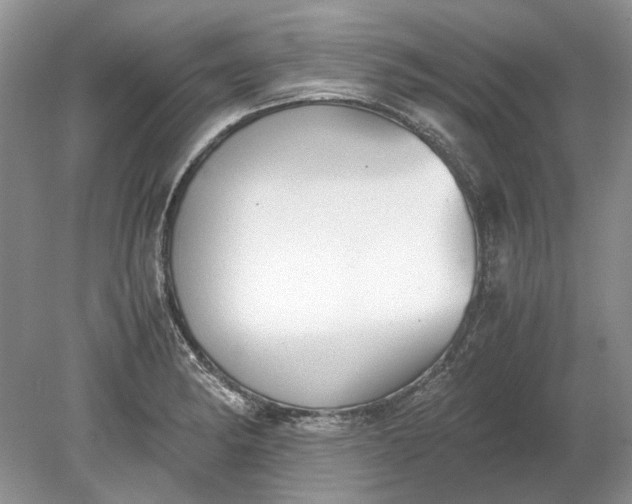 X0000078881182200611271319