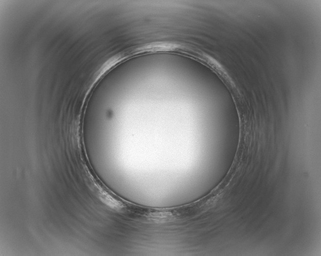 X0000078881186200611271319