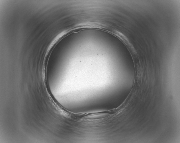 X0000078881188200611271319