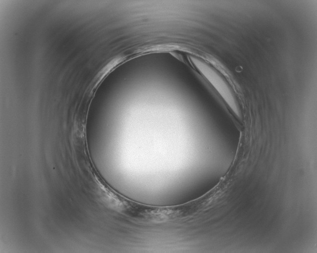 X0000078881193200611271319