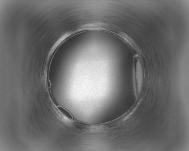 X0000078881196200611271319
