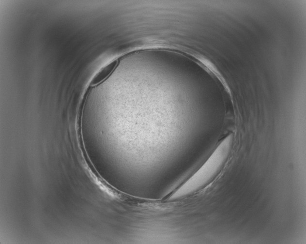 X0000078881197200611271319