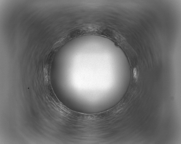 X0000078881203200611271318