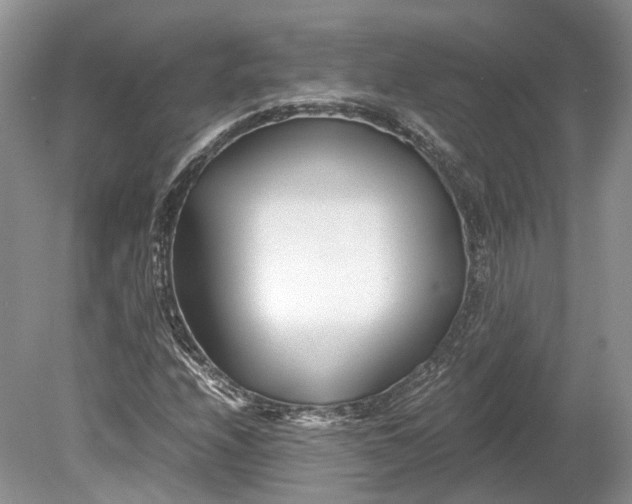 X0000078881208200611271318