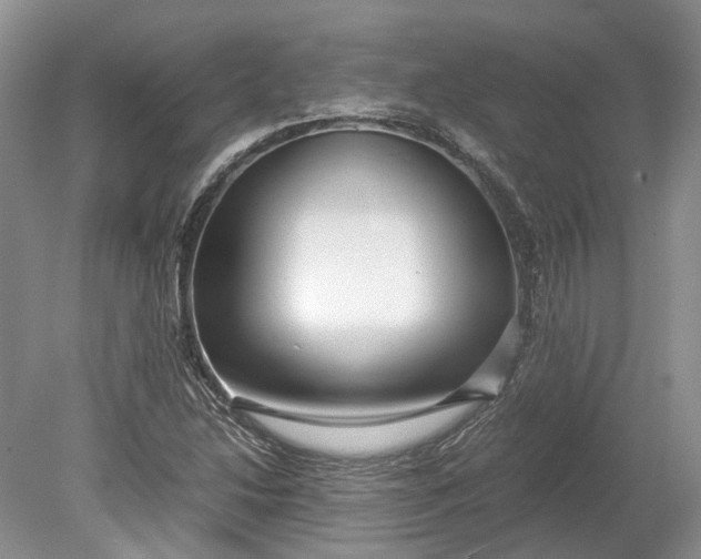 X0000078881214200611271318