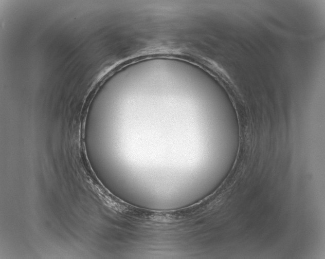 X0000078881220200611271318