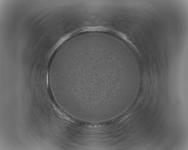 X0000078881221200611271318