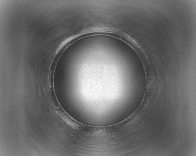 X0000078881222200611271318