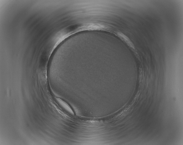 X0000078881226200611271318