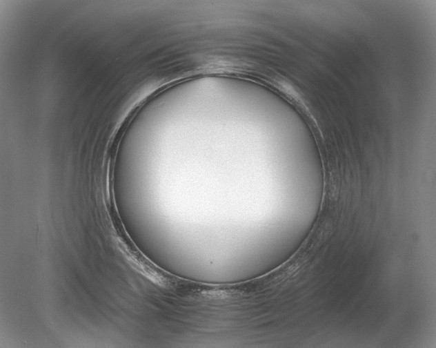 X0000078881227200611271318