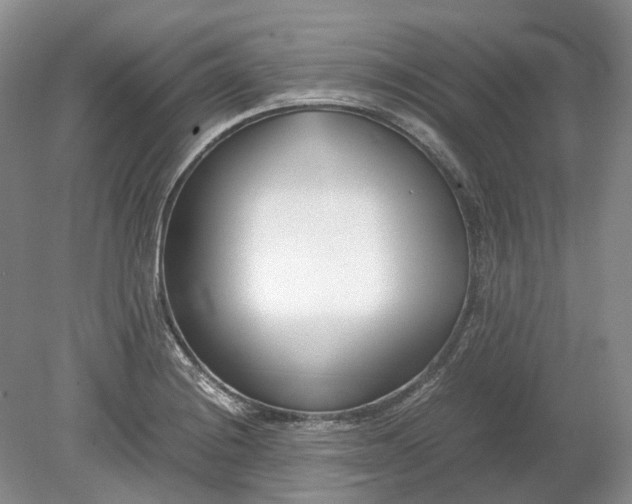 X0000078881228200611271318