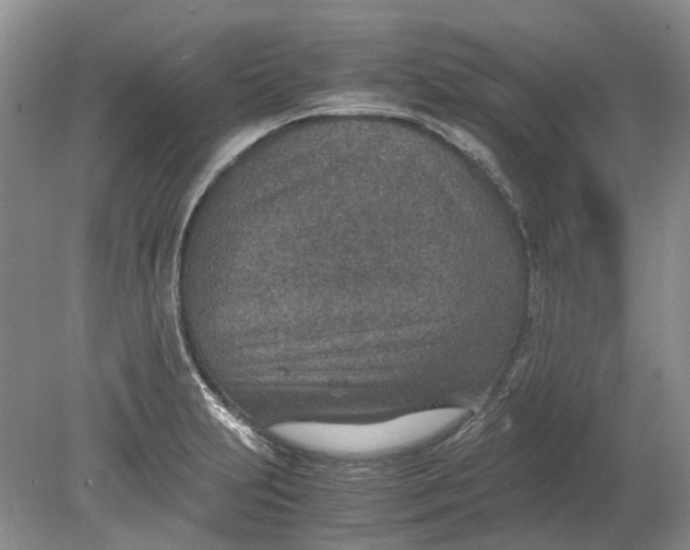 X0000078881231200611271318