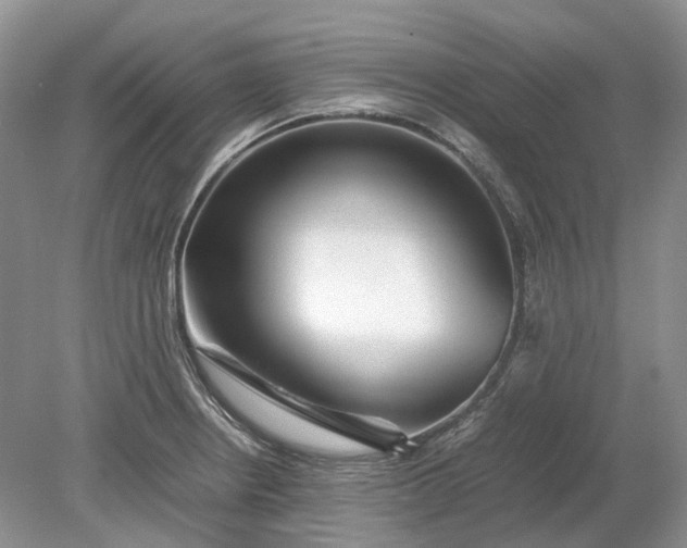 X0000078881234200611271318