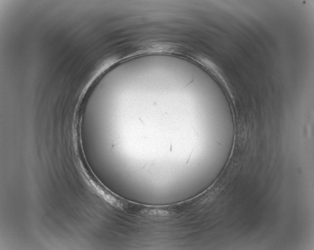 X0000078881235200611271318