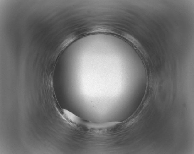 X0000078881241200611271318