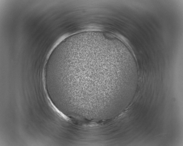 X0000078881243200611271318