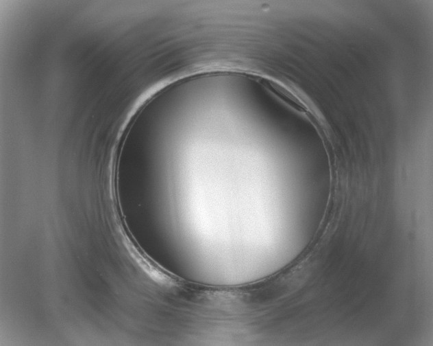 X0000078881246200611271319