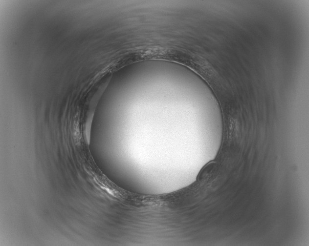 X0000078881250200611271318