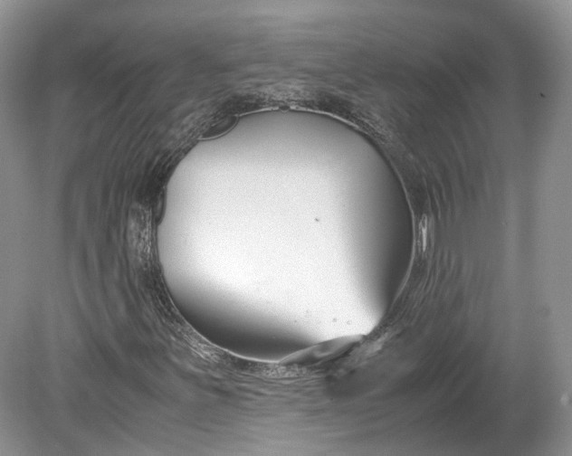 X0000078881251200611271318