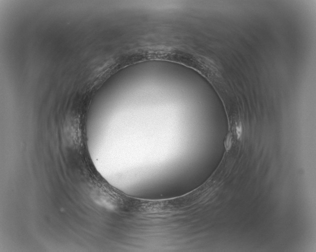 X0000078881252200611271318