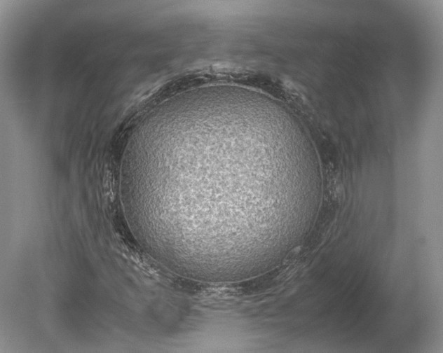 X0000078881253200611271318