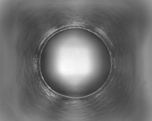 X0000078881260200611271318