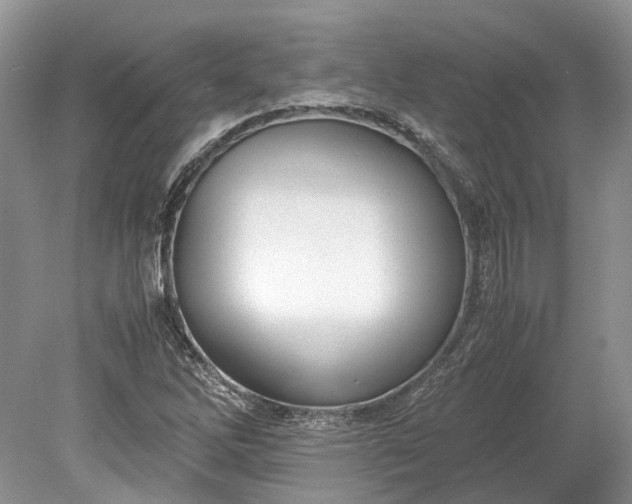 X0000078881262200611271318
