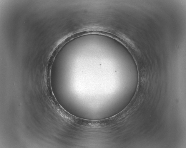 X0000078881264200611271317