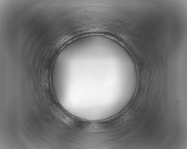 X0000078881265200611271317