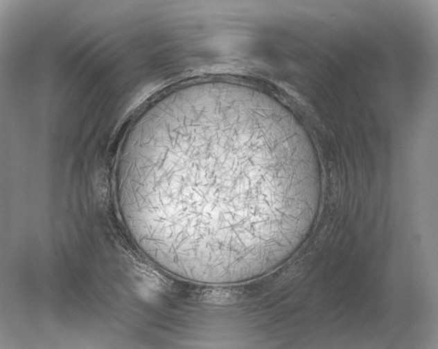 X0000078881266200611271317