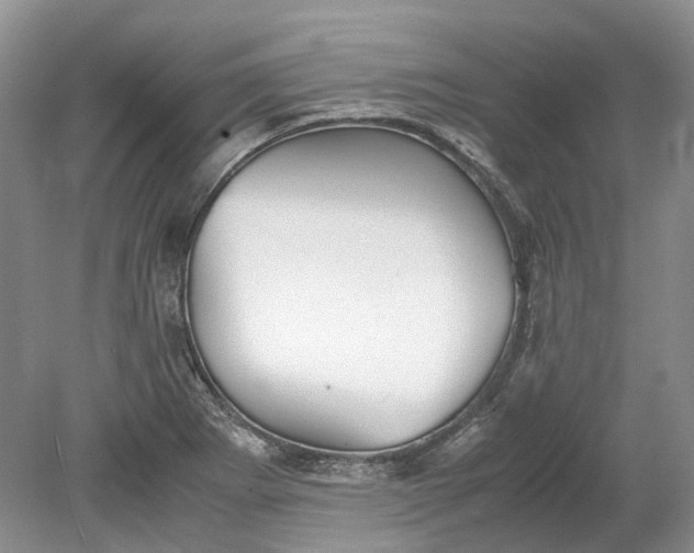 X0000078881273200611271317