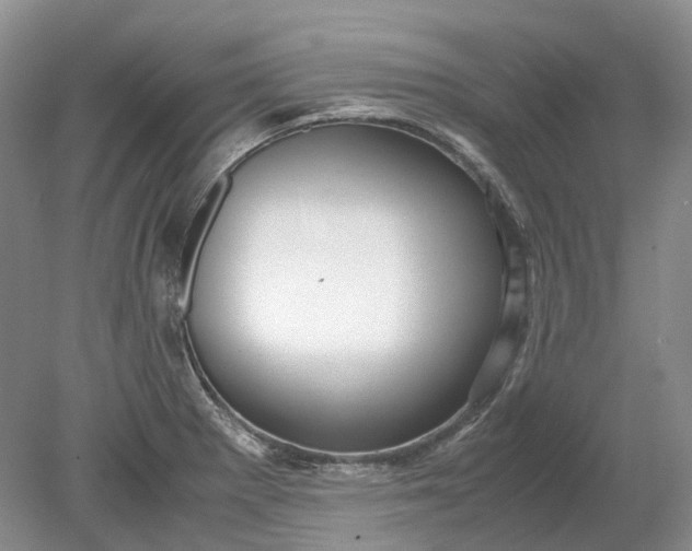 X0000078881281200611271317