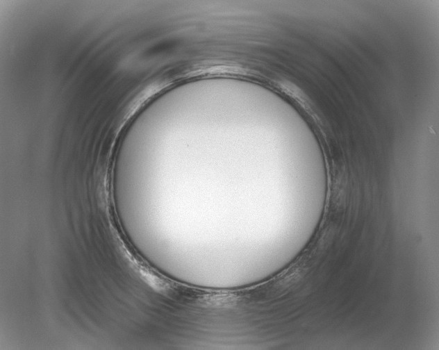 X0000078881282200611271317