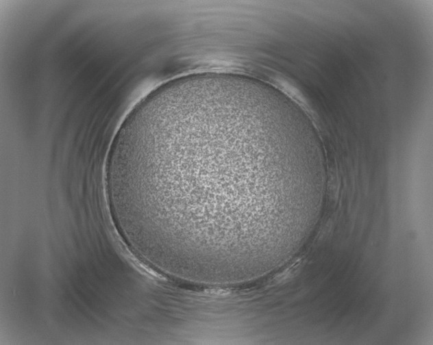 X0000078881283200611271317