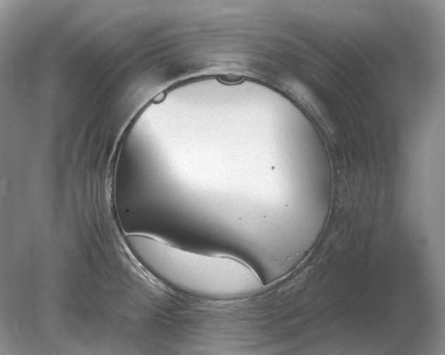 X0000078881284200611271317