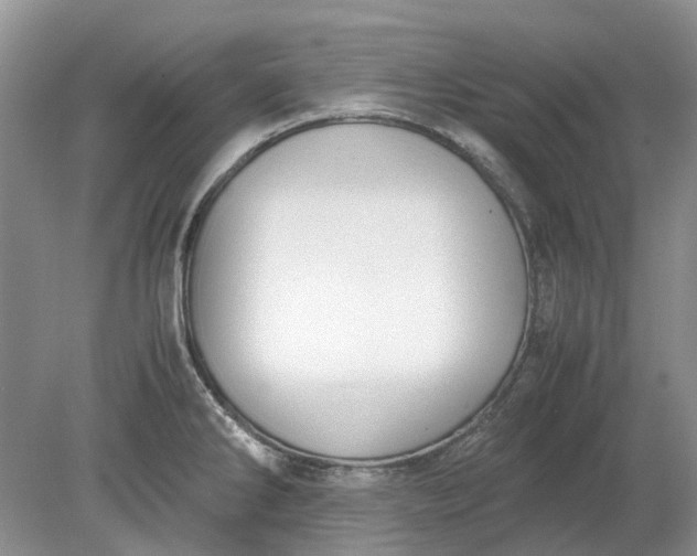 X0000078881286200611271317