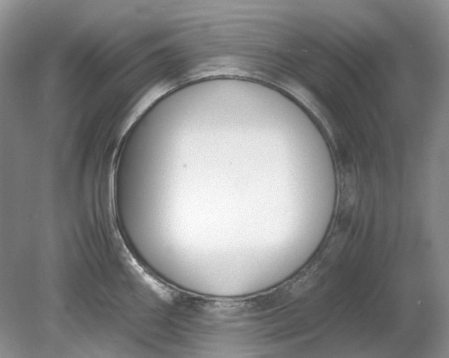 X0000078881290200611271317