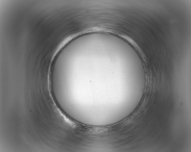 X0000078881294200611271317