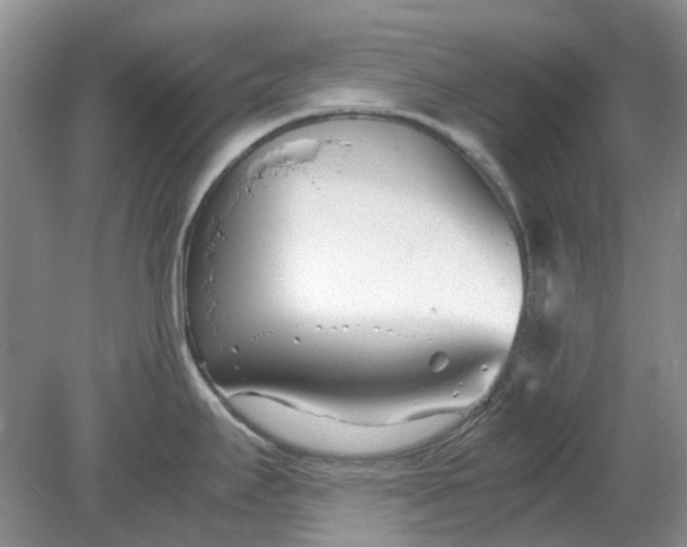 X0000078881295200611271317