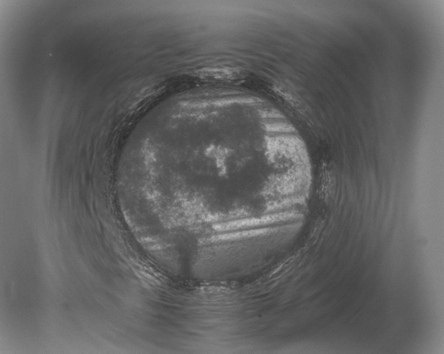 X0000078881297200611271316