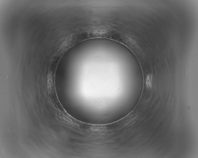 X0000078881299200611271316