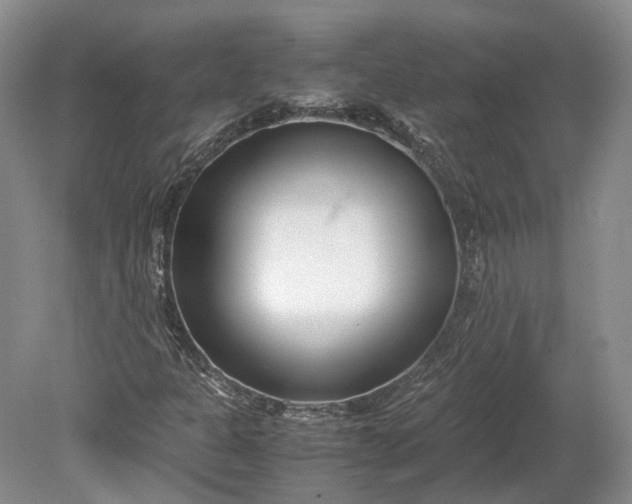 X0000078881301200611271316