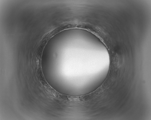 X0000078881302200611271316