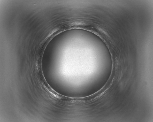 X0000078881305200611271316