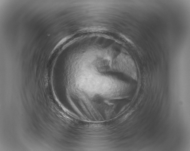 X0000078881306200611271316