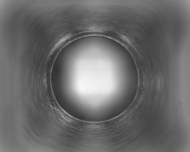 X0000078881307200611271316