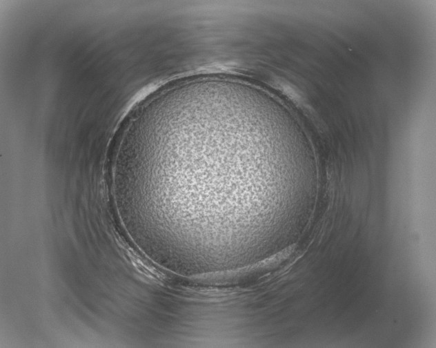 X0000078881308200611271316